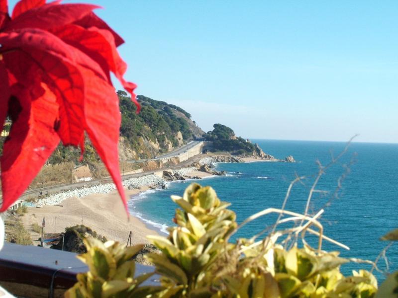 Gran Sol